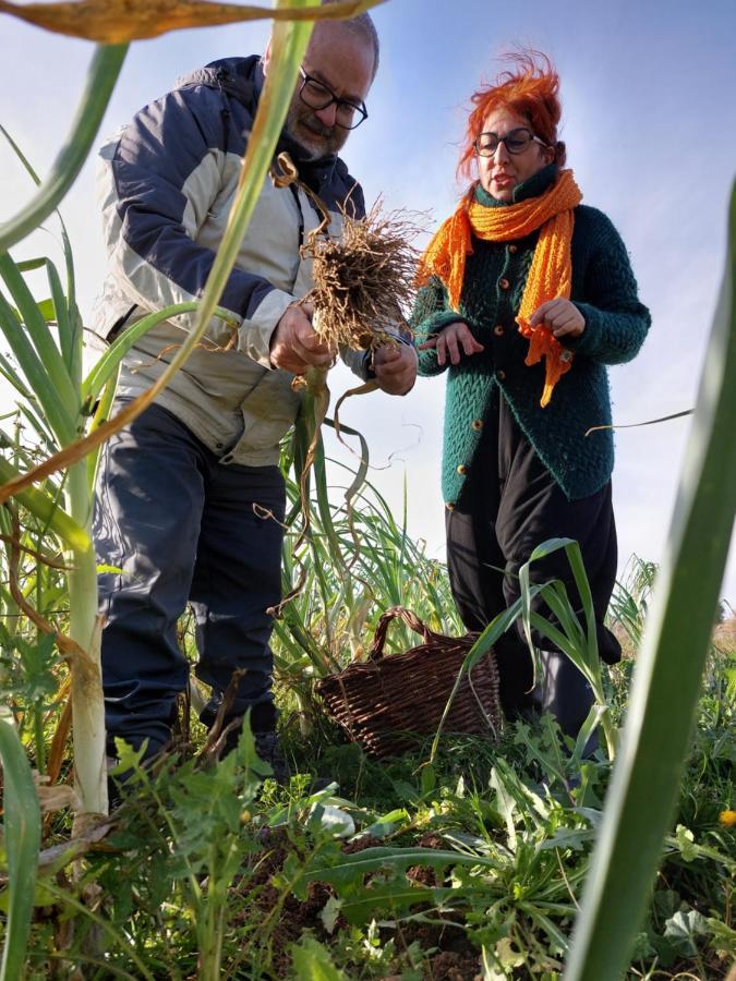 Turismo Rural La Ojinegra Alloza 외부 사진