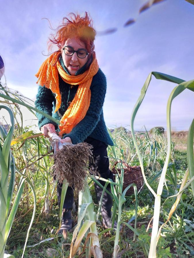 Turismo Rural La Ojinegra Alloza 외부 사진